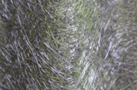 Loughgall fibreglass roof work